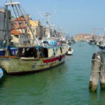 chioggia